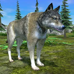 Wolf Simulator - Animal Games МОД на Андроид