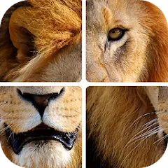 Угадай животных по фрагментам МОД на Андроид