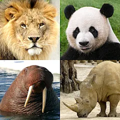 Animals Quiz Learn All Mammals МОД на Андроид