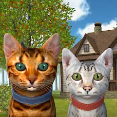 Cat Simulator : Kitties Family МОД на Андроид