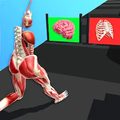 Human Run МОД на Андроид