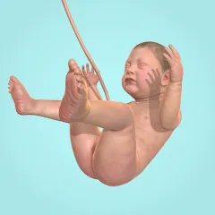 Idle 9 Months МОД на Андроид
