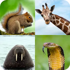 Animal Quiz: Guess the Animal МОД на Андроид