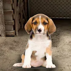 My Pet Animal Shelter World МОД на Андроид