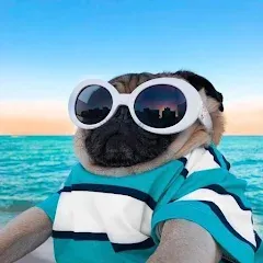 10000 words МОД на Андроид