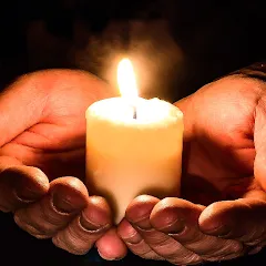 Cozy Words МОД на Андроид