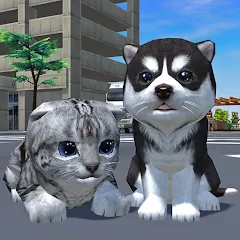 Cute Pocket Cat And Puppy 3D МОД на Андроид
