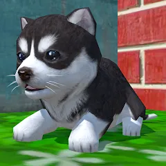 Cute Pocket Puppy 3D МОД на Андроид